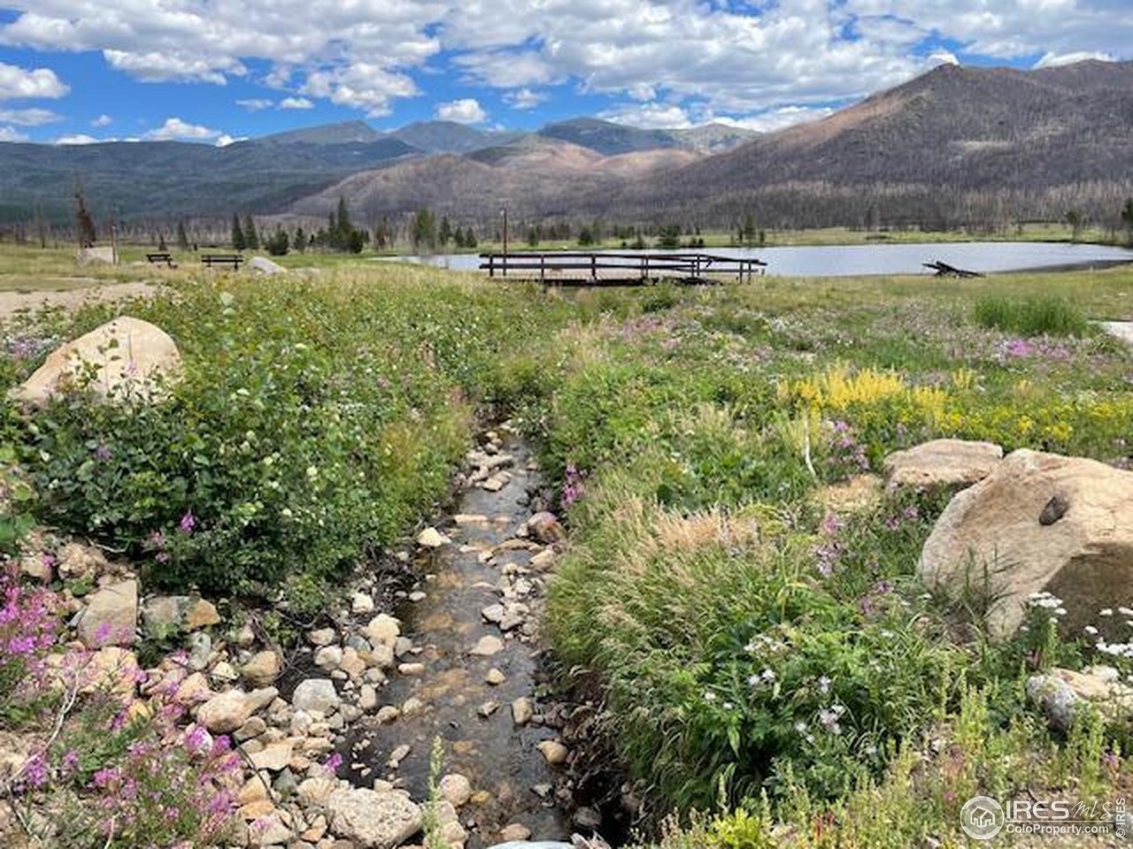 Spring — Rocky Mountain wildflower meadow and stream, Colorado