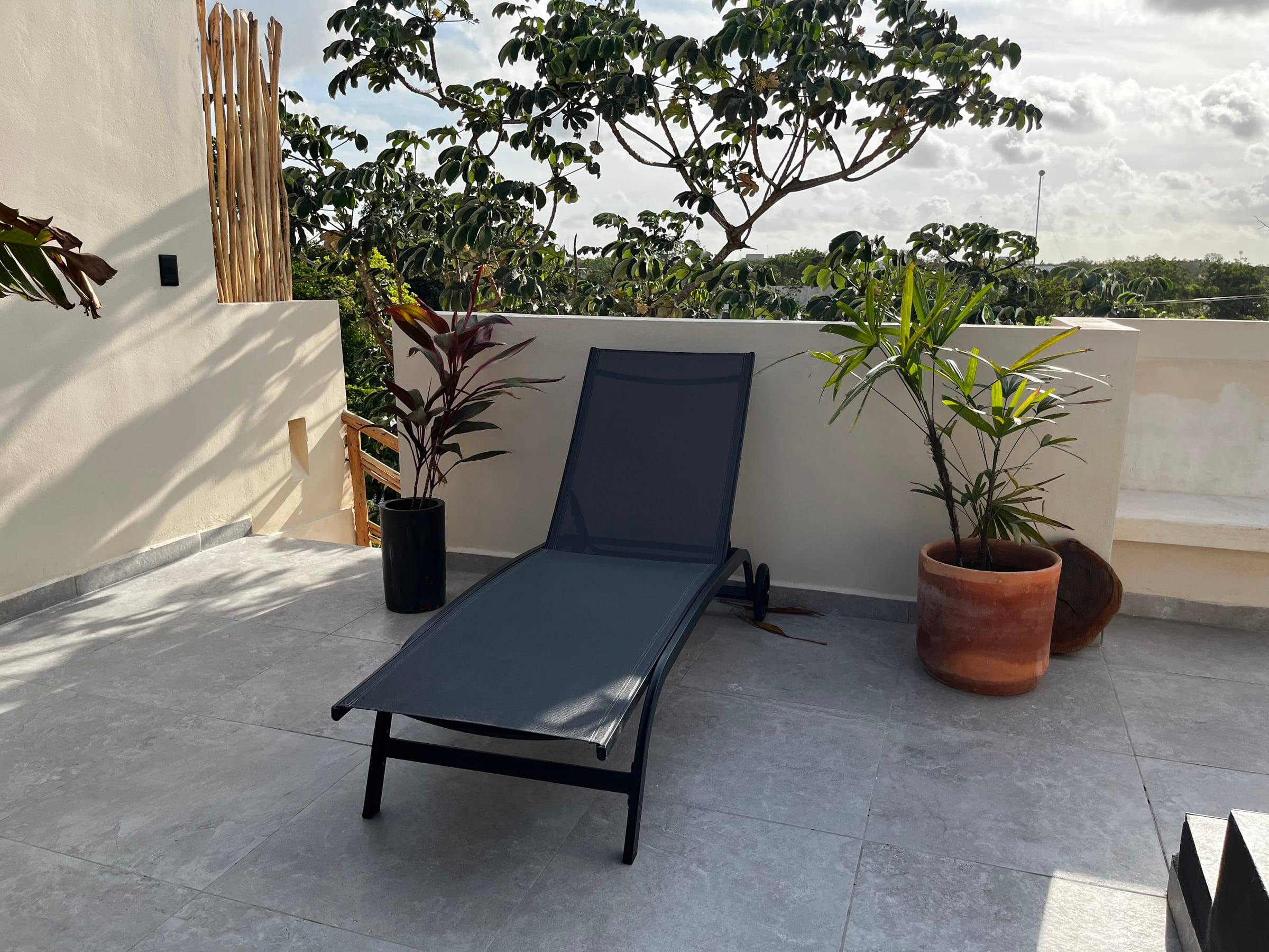Nido Maya — detail 5