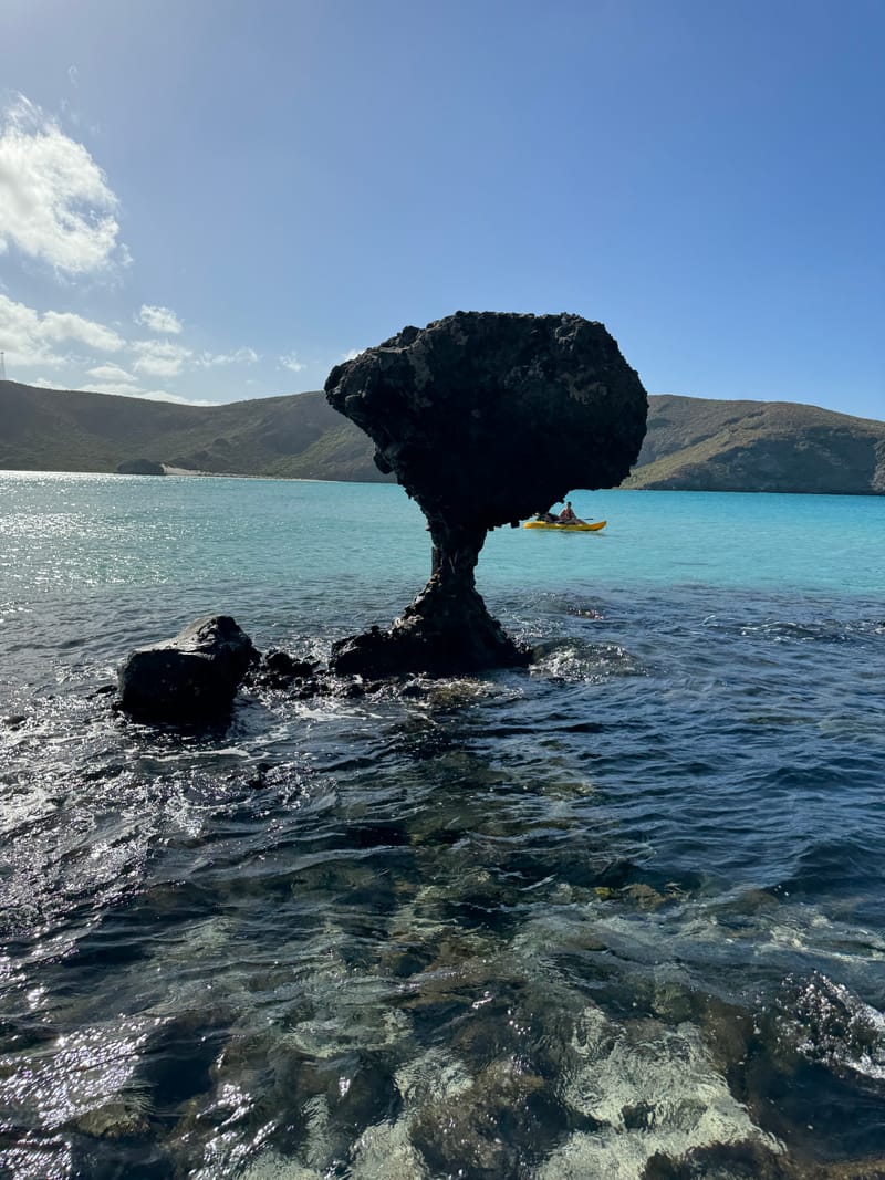 Balandra Beach shallows, La Paz — a day trip north from our Cabo San Lucas vacation rental