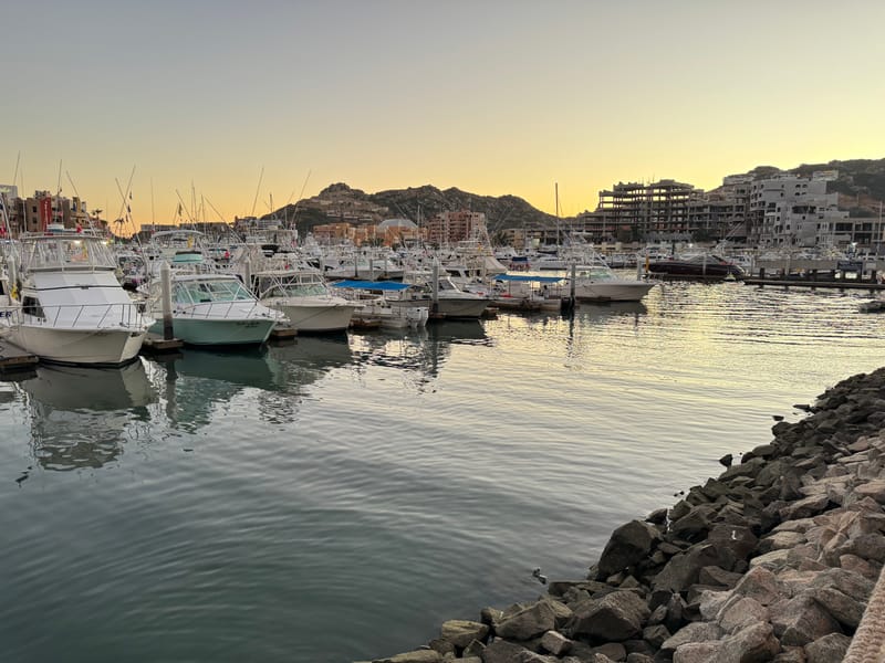 Cabo San Lucas Marina — the walking-distance base for sportfishing, sunset cruises, and dinner near Pedregal Towers