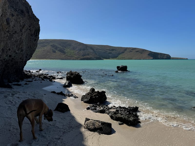 Los Cabos coastline — Baja California Sur beach scenery near our Pedregal Towers vacation rental