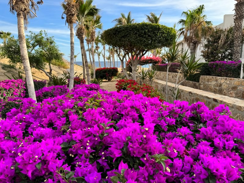 The private beach park entrance in Pedregal — guests at our Cabo San Lucas vacation rental use this access daily