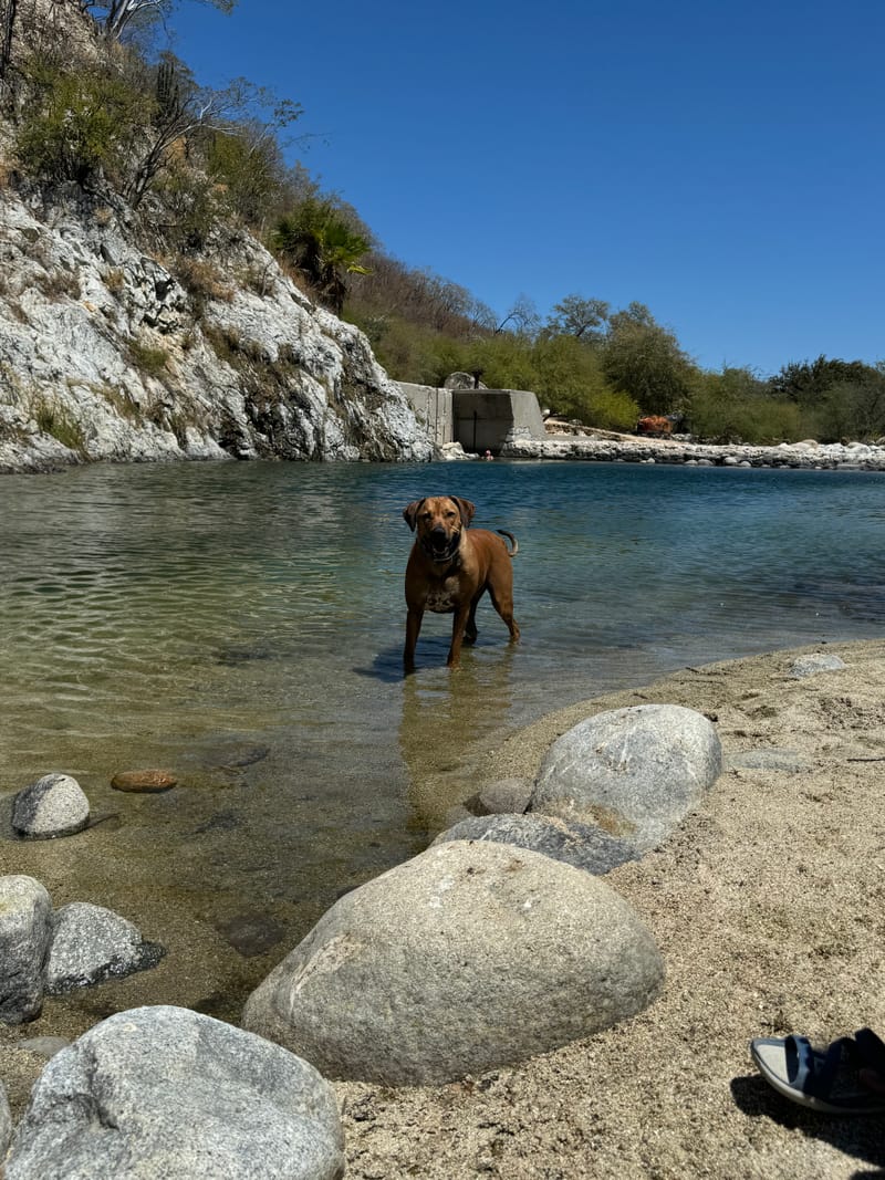 Santiago Springs oasis in Baja California Sur — a hidden day trip from our Cabo Airbnb